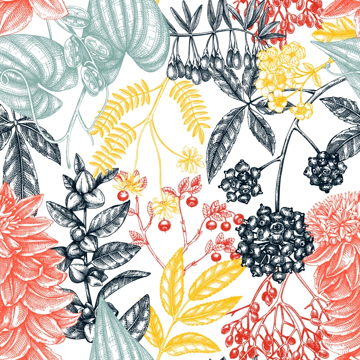 Adaptogenic plants seamless pattern. Hand-sketched medicinal herbs, weeds, berries, leaves vector background. Perfect for labels, packaging, wrapping paper, fabric. Botanical illustration in color